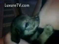 Breastfeeding a baby dog
